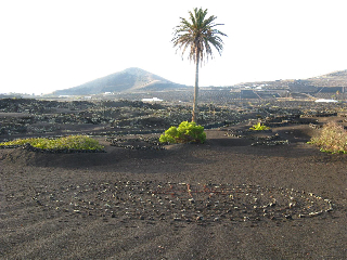 Labyrinth Lanzarote