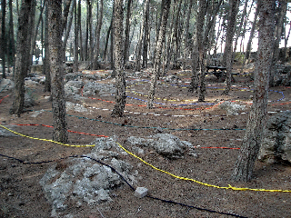 Labyrinth in Palästina